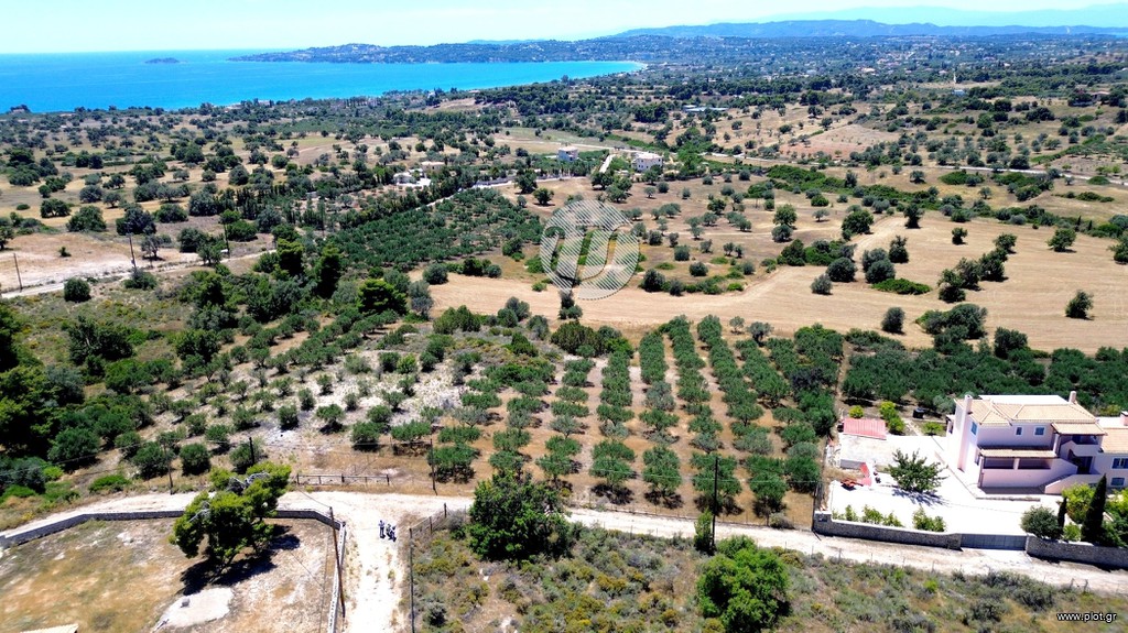 Οικόπεδο 4.016 τ.μ. προς πώληση, Πετροθάλασσα