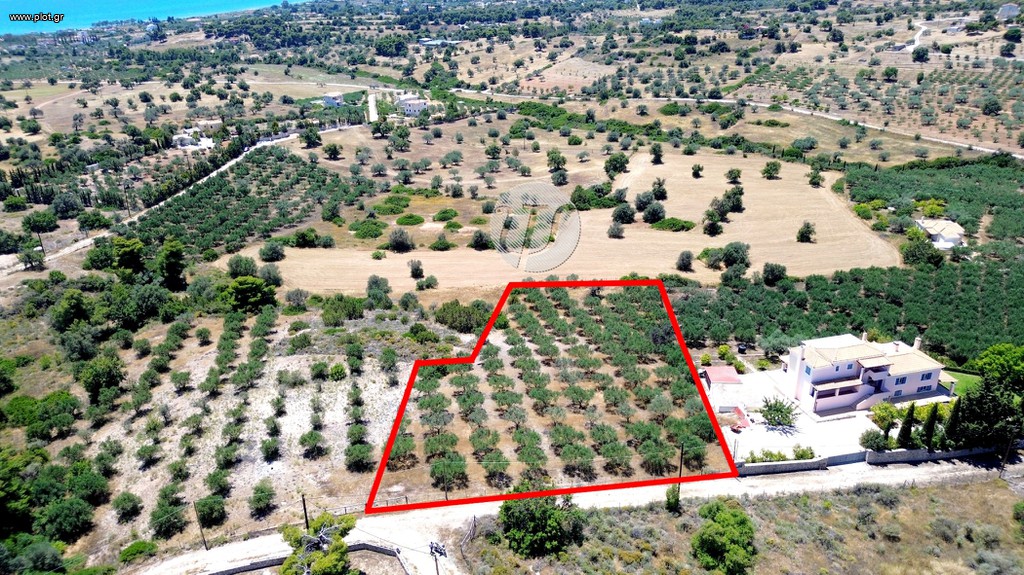 Οικόπεδο 4.016 τ.μ. προς πώληση, Πετροθάλασσα