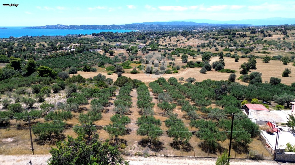 Οικόπεδο 4.016 τ.μ. προς πώληση, Πετροθάλασσα