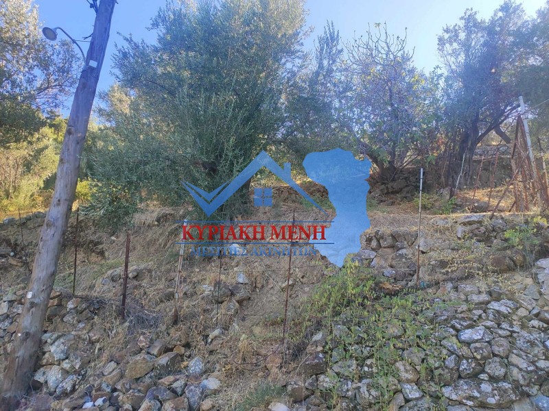 Οικόπεδο 443 τ.μ. προς πώληση, Καρδάμυλα
