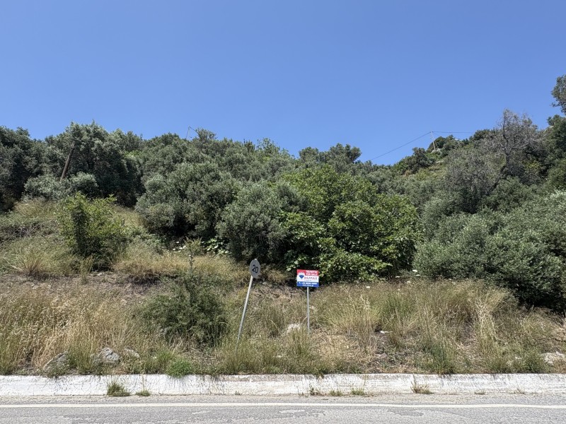 Οικόπεδο 5.412,50 τ.μ. πρός πώληση, Ν. Ρεθύμνου, Φοινίκας