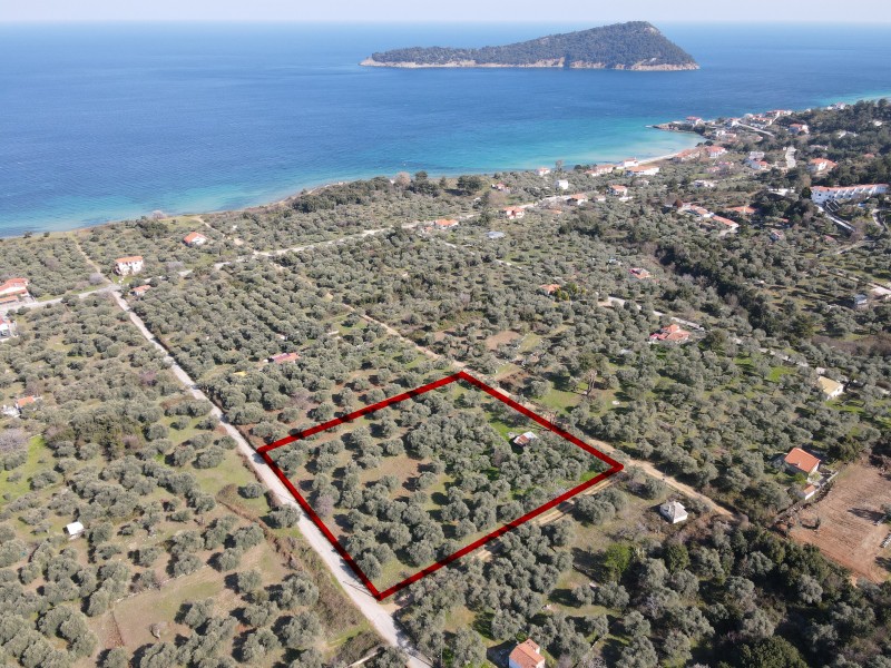 Αγροτεμάχια 3.173 τ.μ. για πώληση, Ν. Καβάλας, Θάσος