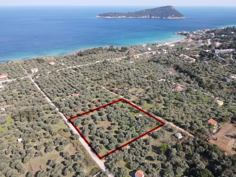 Αγροτεμάχια 3.173τ.μ. για πώληση-Θάσος » Κοίνυρα