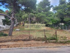 Land plot 1.020 sqm for sale, Athens - West, Acharnes