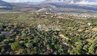 Οικόπεδο 7.129 τ.μ. για πώληση