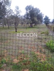 Αγροτεμάχια 1.286 τ.μ. για πώληση, Εύβοια, Αμάρυνθος-thumb-1