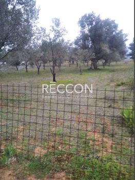 Parcel 1.286sqm for sale-Amarinthos » Kallithea