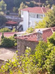 Οικόπεδο 297 τ.μ. προς πώληση, Σέτα-thumb-2