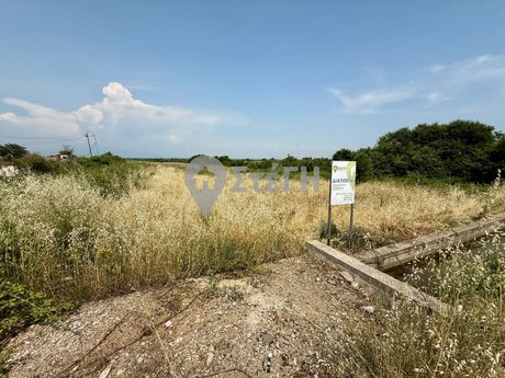 Αγροτεμάχια 3.250 τ.μ. για πώληση