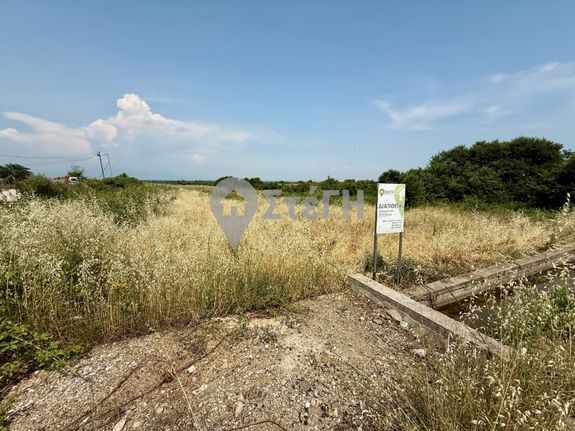 Αγροτεμάχια 3.250 τ.μ. για πώληση, Ημαθία, Δοβρά