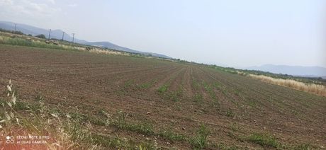 Parcel 8.350sqm for sale-Leianokladi » Stirfaka