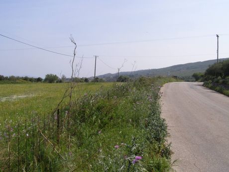 Land plot 14.000sqm for sale-Kefalonia » Paliki