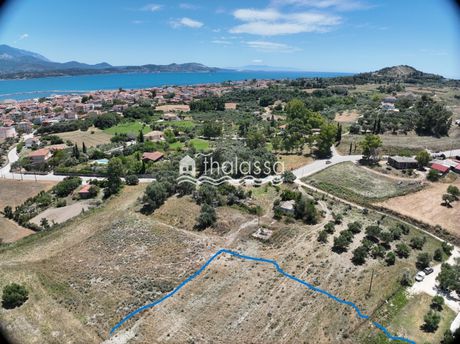 Αγροτεμάχια 4.511τ.μ. για πώληση-Κεφαλονιά » Παλική