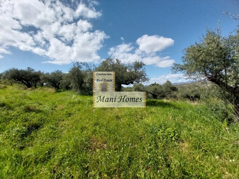 Οικόπεδο 1.073 τ.μ. πρός πώληση, Μεσσηνία, Λεύκτρος