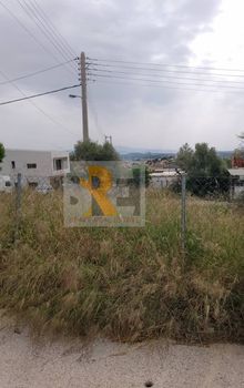 Land plot 228 sqm for sale