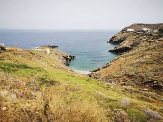 Αγροτεμάχια 4.500 τ.μ. για πώληση