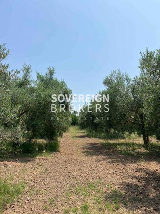 Parcel 6.600 sqm for sale, Thessaloniki - Suburbs, Epanomi