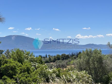 Parcel 6.700sqm for sale-Messapia