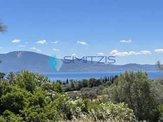 Αγροτεμάχια 6.700 τ.μ. για πώληση