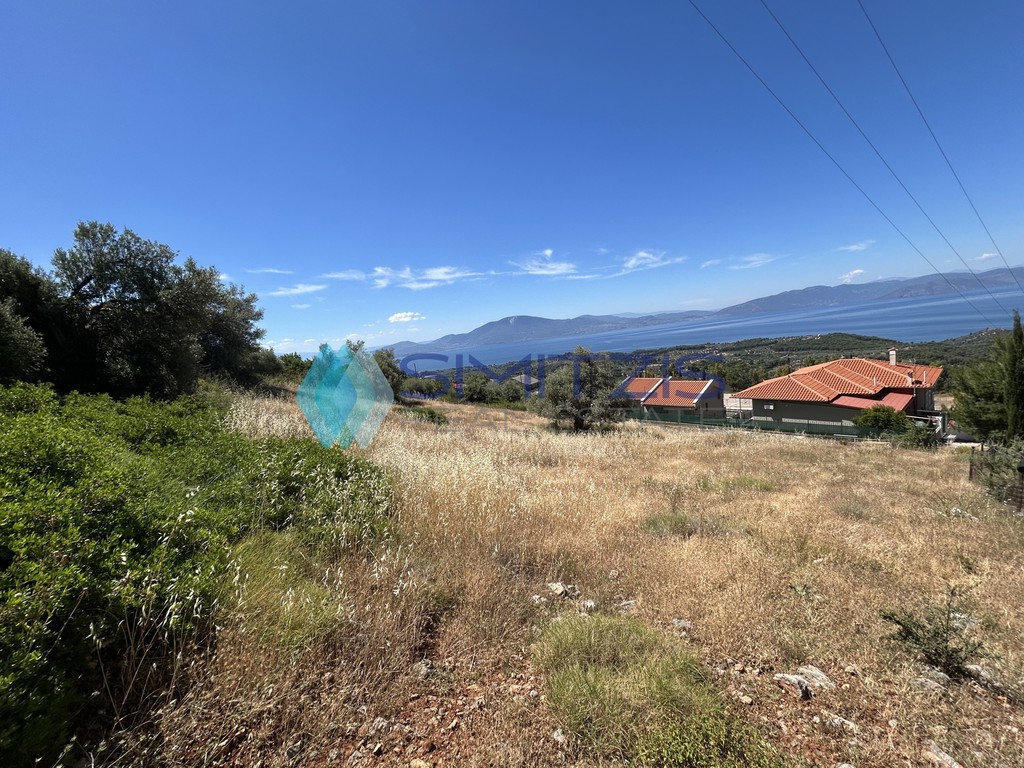Οικόπεδο 1.600 τ.μ. προς πώληση, Νεροτριβιά