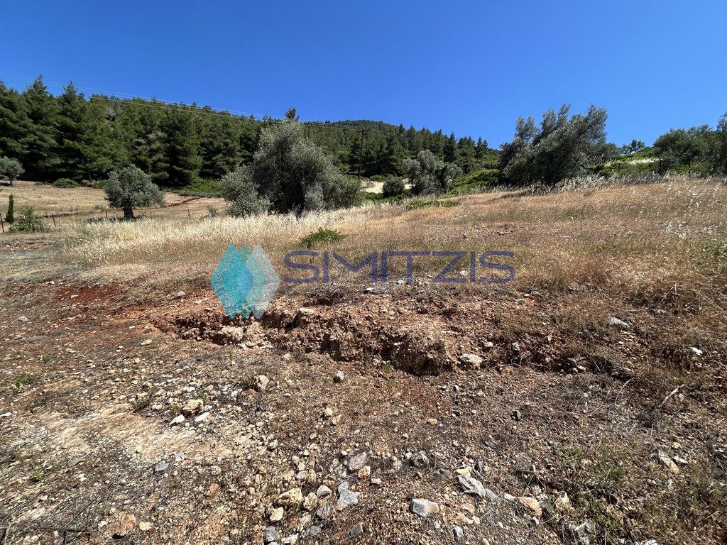 Οικόπεδο 1.600 τ.μ. προς πώληση, Νεροτριβιά