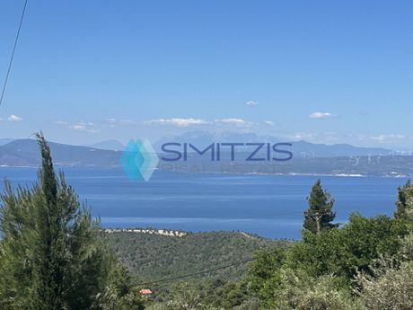 Land plot 1.600sqm for sale-Messapia
