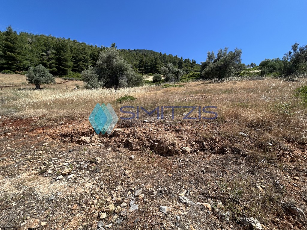 Οικόπεδο 1.600 τ.μ. προς πώληση, Νεροτριβιά