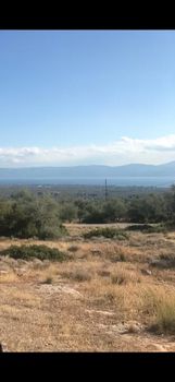 Land plot 960sqm for sale-Amarinthos