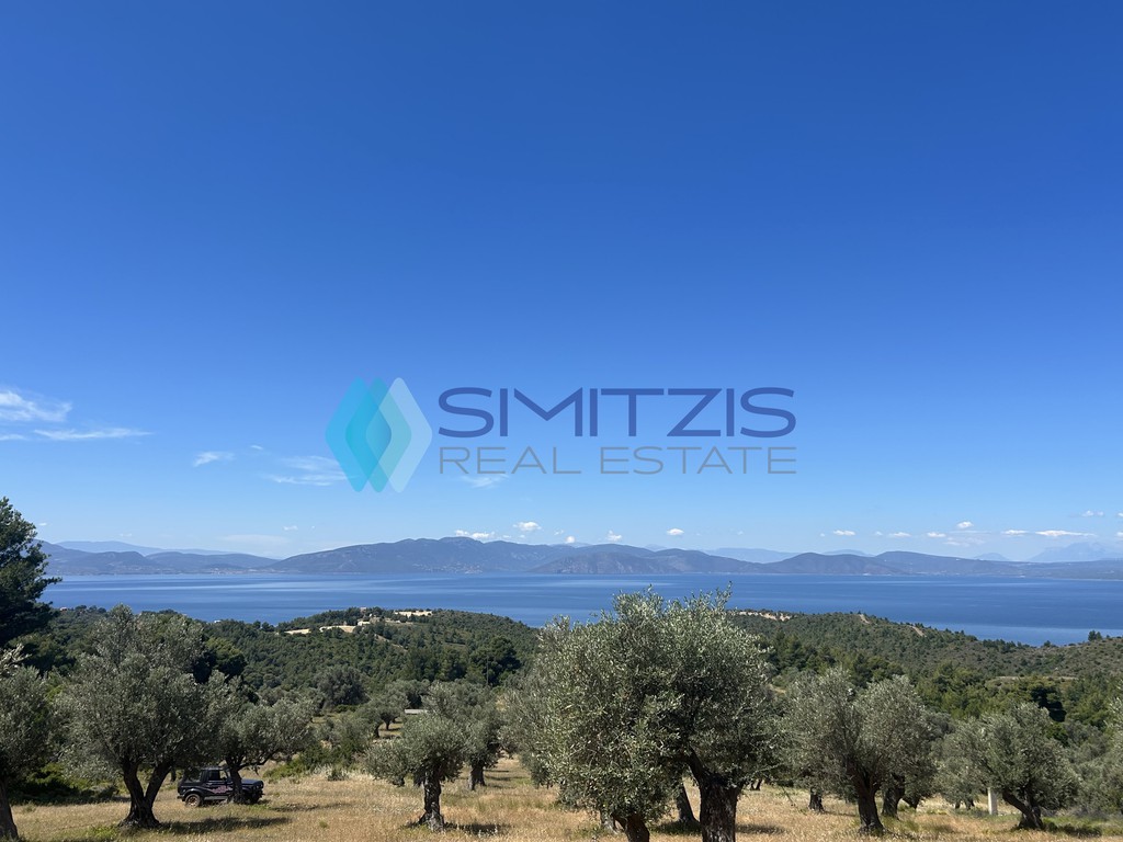 Αγροτεμάχια 10.000 τ.μ. προς πώληση, Δάφνη Μεσσαπίας