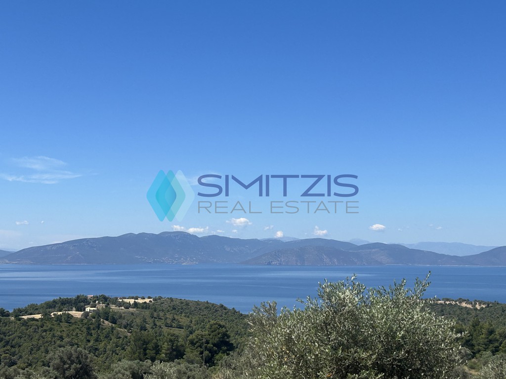 Αγροτεμάχια 10.000 τ.μ. προς πώληση, Δάφνη Μεσσαπίας