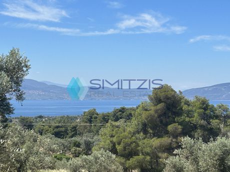 Parcel 5.100sqm for sale-Messapia