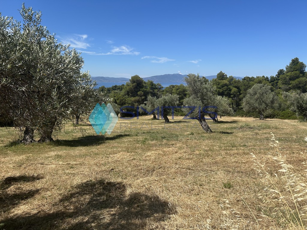 Αγροτεμάχια 5.100 τ.μ. προς πώληση, Πολιτικά