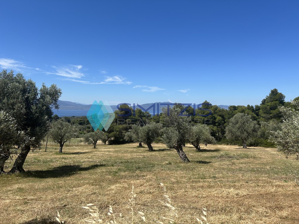 Αγροτεμάχια 5.100 τ.μ. προς πώληση, Πολιτικά