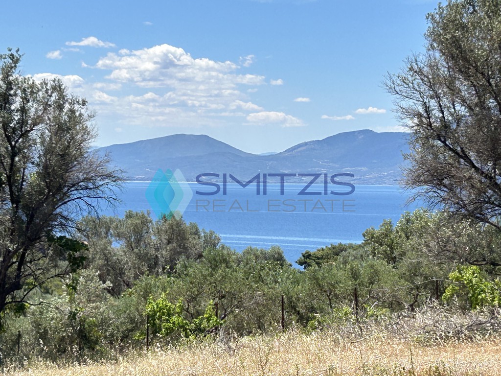 Αγροτεμάχια 5.000 τ.μ. προς πώληση, Πολιτικά