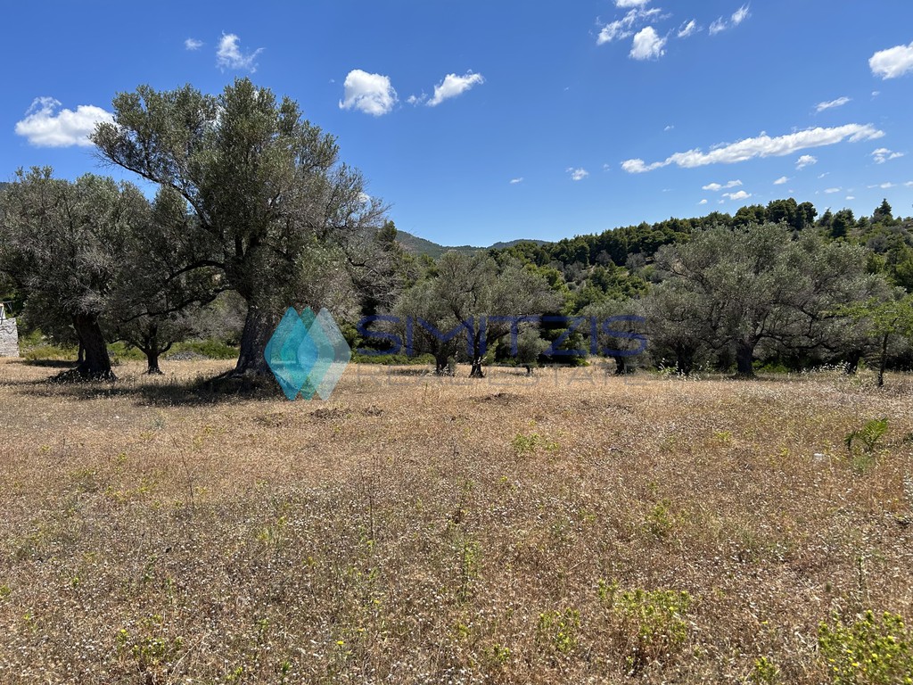 Αγροτεμάχια 5.000 τ.μ. προς πώληση, Πολιτικά