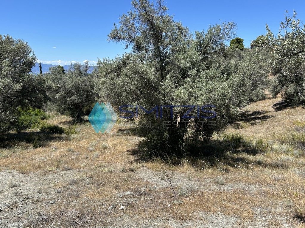 Αγροτεμάχια 6.700 τ.μ. προς πώληση, Πολιτικά