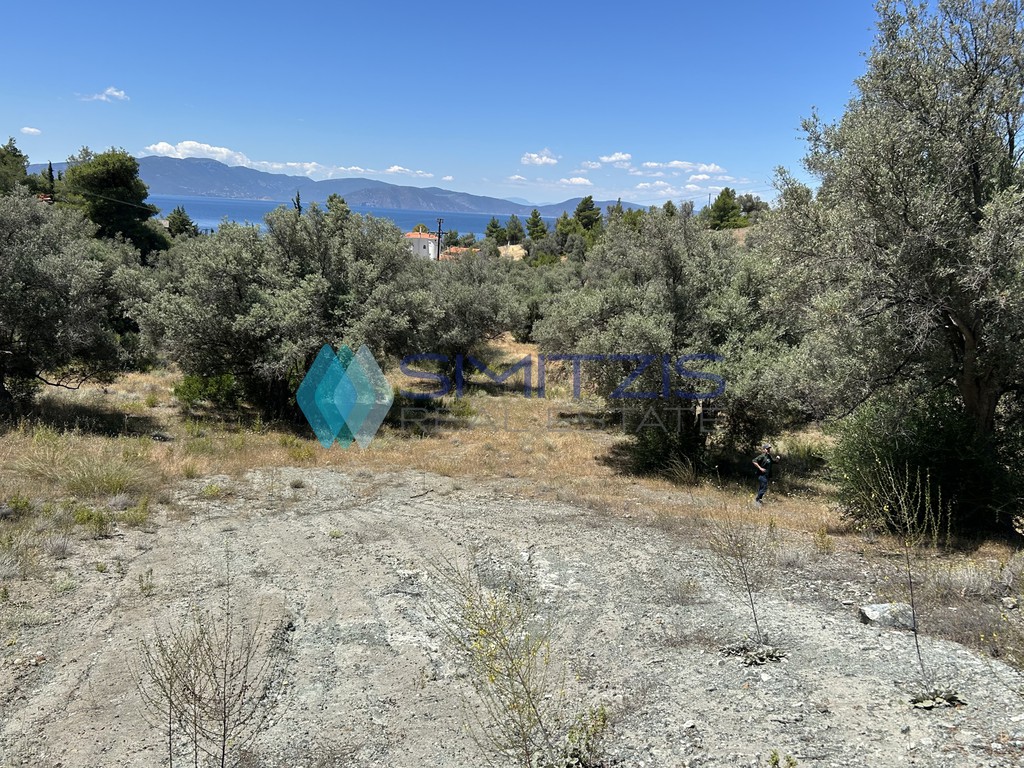 Αγροτεμάχια 6.700 τ.μ. προς πώληση, Πολιτικά