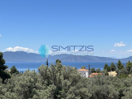 Parcel 6.700sqm for sale-Messapia