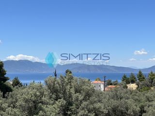 Αγροτεμάχια 6.700 τ.μ. για πώληση