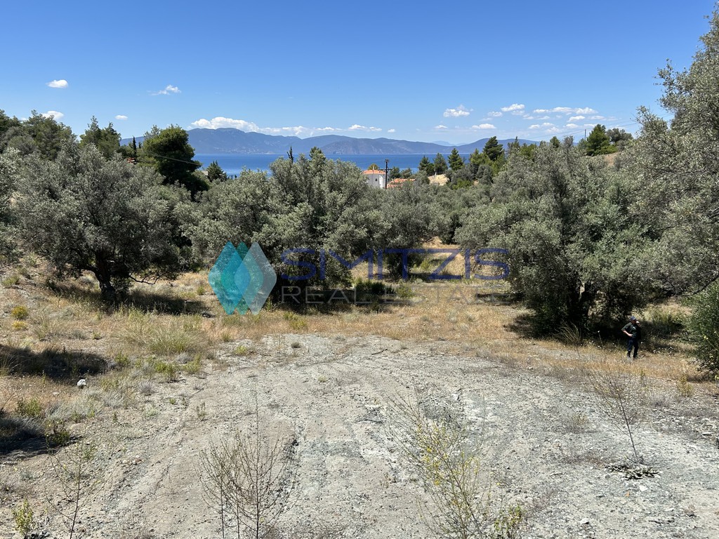 Αγροτεμάχια 6.700 τ.μ. προς πώληση, Πολιτικά
