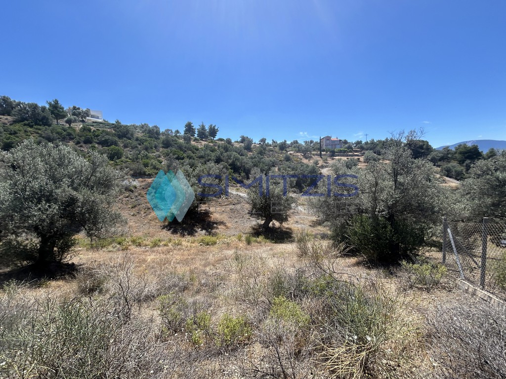 Αγροτεμάχια 6.700 τ.μ. προς πώληση, Πολιτικά
