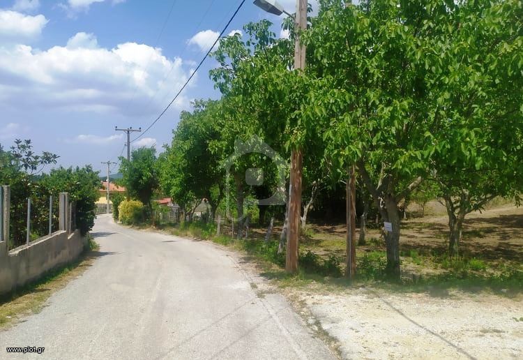 Αγροτεμάχια 2.106 τ.μ. προς πώληση, Παλαιοχώρι Αρναίας