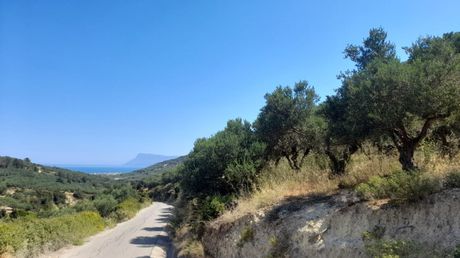 Οικόπεδο 11.208,81 τ.μ. για πώληση