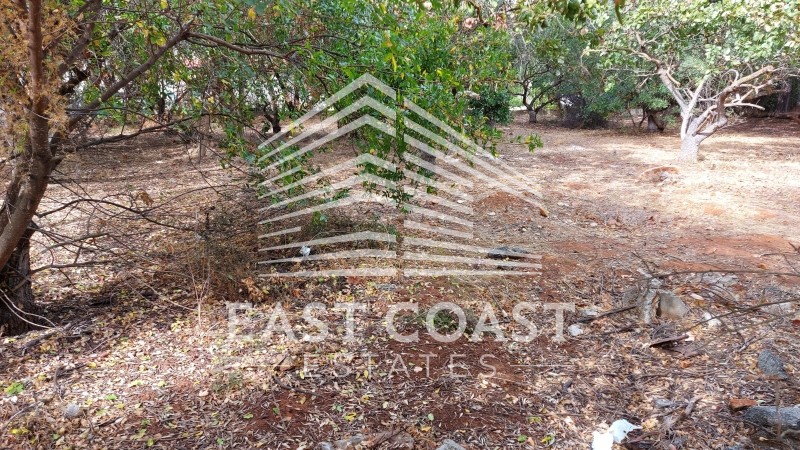 Οικόπεδο 662 τ.μ. πρός πώληση, Αθήνα - Ανατολικά Προάστια, Νέα Μάκρη