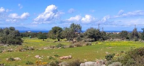 Οικόπεδο 9.534 τ.μ. για πώληση