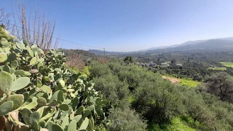 Land plot 1.196,37sqm for sale-Mousouroi » Koufos