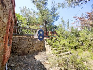 Οικόπεδο 1.629 τ.μ. προς πώληση, Αμάνη-thumb-3