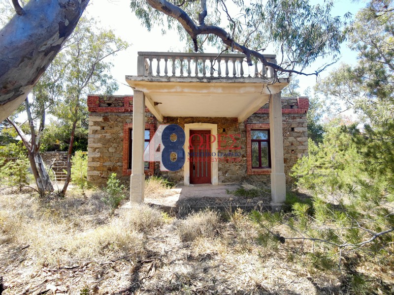 Οικόπεδο 1.629 τ.μ. προς πώληση, Αμάνη