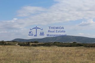 Οικόπεδο 2.000 τ.μ. προς πώληση