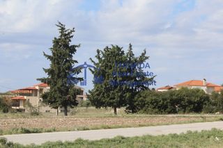 Οικόπεδο 1.600 τ.μ. προς πώληση